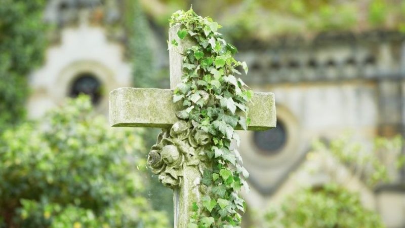 Cimitero gatti , a chi rivolgersi