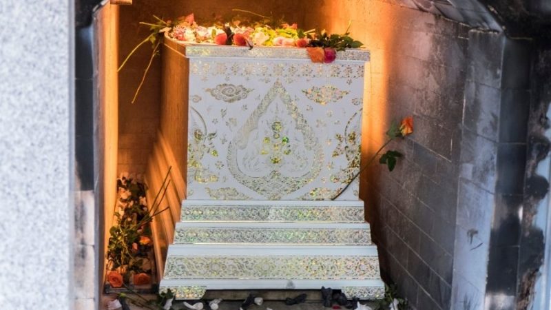 Cremazioni animali , ecco chi ti è vicino